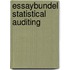 Essaybundel Statistical Auditing