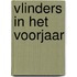 Vlinders in het voorjaar