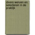 Divers werven en selecteren in de praktijk
