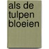 Als de tulpen bloeien