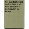 Het Aardscheveld en Lombok, met hun bewoners; gehuisvest in keten by Meent van der Sluis