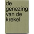 De genezing van de krekel