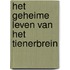 Het geheime leven van het tienerbrein