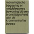 Merovingische begraving en middeleeuwse bewoning bij een bronstijdgrafveld aan de Krommenhof in Beerse