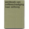 Werkboek van Zelfbeschadiging naar Zelfzorg door Nicole Ter Morsche