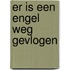 Er is een engel weg gevlogen