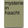 Mysterie in Haacht door Tom Bergs