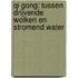 Qi Gong: Tussen drijvende wolken en stromend water