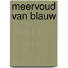 Meervoud van blauw by Lucienne Stassaert