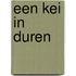 Een kei in duren