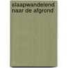 Slaapwandelend naar de afgrond by Götz Aly