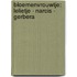 Bloemenvrouwtje: Lelietje - Narcis - Gerbera