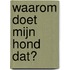 Waarom doet mijn hond dat?