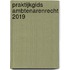 Praktijkgids Ambtenarenrecht 2019