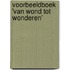 Voorbeeldboek 'van Wond tot Wonderen'