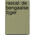 Rascal: De Bengaalse tijger