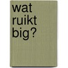 Wat ruikt Big? door Anky Spoelstra