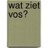 Wat ziet Vos?