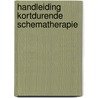 Handleiding kortdurende schematherapie door Michiel van Vreeswijk