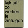 Kijk uit! Zo werken je zintuigen door Leon Read