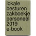 Lokale besturen Zakboekje Personeel 2019 E-book