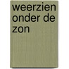 Weerzien onder de zon by Rebecca Winters