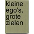 Kleine ego's, grote zielen