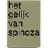 Het gelijk van Spinoza
