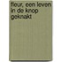 Fleur, een leven in de knop geknakt