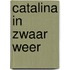 Catalina in zwaar weer