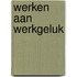 Werken aan werkgeluk