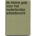 De Kleine Gids voor het Nederlandse Arbeidsrecht