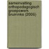 Samenvatting orthopedagogisch groepswerk Bruininks (2006)