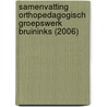 Samenvatting orthopedagogisch groepswerk Bruininks (2006) door Marieke Goede