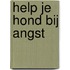 Help je hond bij angst