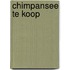 Chimpansee te koop