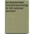 Professionele oordeelsvorming in het sociaal domein
