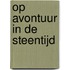 Op avontuur in de steentijd