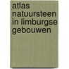 Atlas natuursteen in Limburgse gebouwen by Roland Dreesen