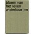 Bloem van het leven waterkaarten