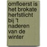 Omfloerst is het brokate herfstlicht bij 't naderen van de winter
