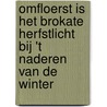 Omfloerst is het brokate herfstlicht bij 't naderen van de winter door Menno Verrips