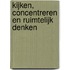 Kijken, concentreren en ruimtelijk denken