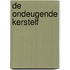 De ondeugende kerstelf