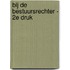 Bij de bestuursrechter - 2e druk