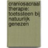 CranioSacraal Therapie: toetssteen bij natuurlijk genezen