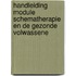 Handleiding module Schematherapie en de Gezonde volwassene