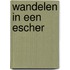 Wandelen in een Escher