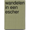 Wandelen in een Escher door Michiel Stroink