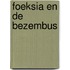 Foeksia en de bezembus